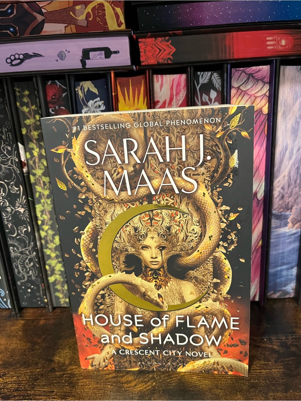 - House of Flame and Shadow (Gold Black Cover)